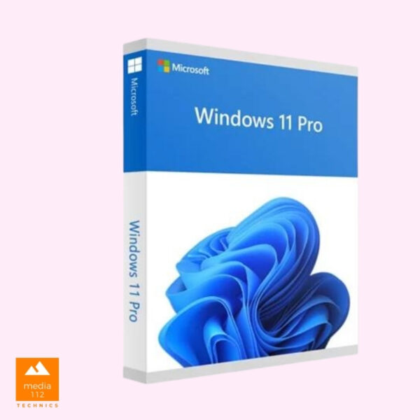 Windows 11 Professional